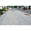 FCNDthueringer1739874936bobbie