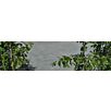 FCNDtavolo-einzelformate1739874936bobbie