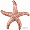 GAR0STELLAMARINA1663060152bobbie