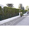HAK0trento1684321987bobbie