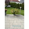 HARZgrane-pflaster-11627126566bobbie