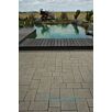 HARZgrane-pflaster-11627126566bobbie