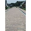 HARZsepta-harzburger-pflaster1627126567bobbie