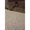 HARZharzer-fs-pflaster-sicher1627126567bobbie