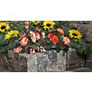 KOLL190504051720436232bobbie