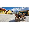 MEGNGestaltung_Eganto_Kombi_Reihe1628076624bobbie