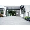 METTTerLithocera1716560469bobbie