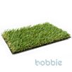 PtecCO-42-001708444096bobbie