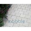RUFBcastelith1632390485bobbie