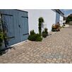 RUFBil-sasso1632390486bobbie
