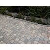 RUFBil-sasso1632390486bobbie