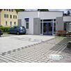 RUFBquadrat-rasen1632390487bobbie