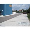 RUFBquadrat-rasen1632390487bobbie