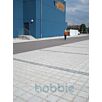 RUFBquadrat-rasen1632390487bobbie