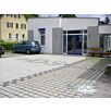 RUFBquadrat-rasen1632390487bobbie