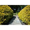 SIEKgranitplatten-geflammt1629782586bobbie