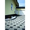 WHOLmontana-wassergestrahlt1629378725bobbie
