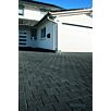 WHOLmontana-wassergestrahlt1629378725bobbie