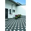 WHOLmontana-wassergestrahlt1629378725bobbie