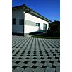 WHOLmontana-wassergestrahlt1629378725bobbie