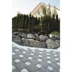 WHOLmontana-wassergestrahlt1629378725bobbie